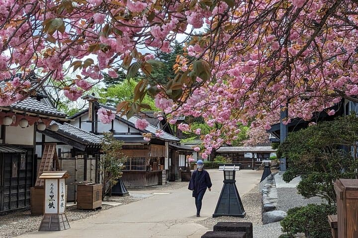Nikko History & Nature Discovery | Private Licensed Guide &Driver