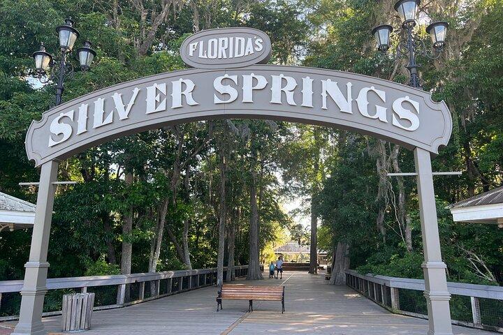 Silver Springs State Park Udflugt fra Orlando med adgang
