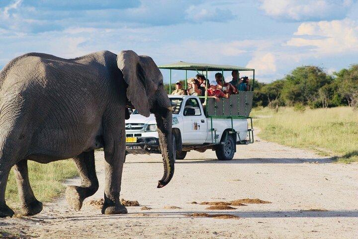 Safari nel parco nazionale di Etosha con guide turistiche professionali nate a Etosha.
