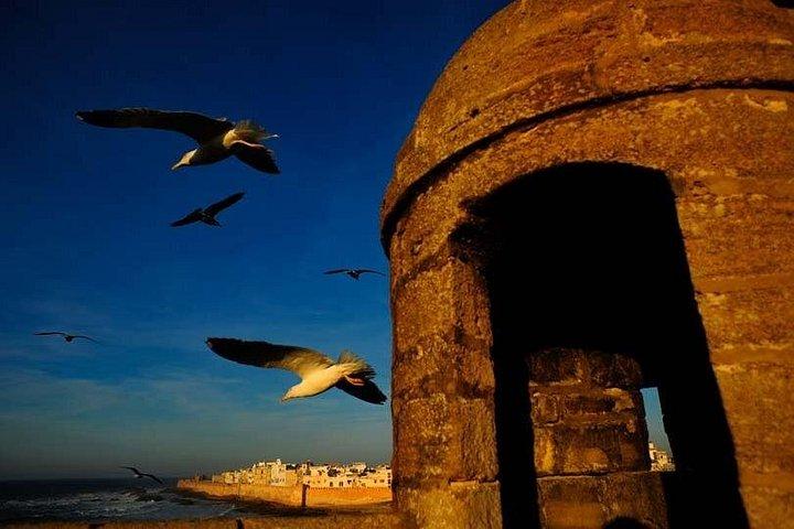 Essaouira Day Trip from Marrakech