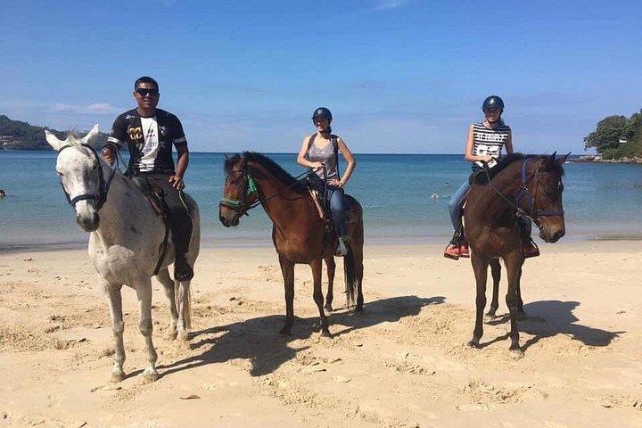プーケットのビーチ乗馬アクティビティ