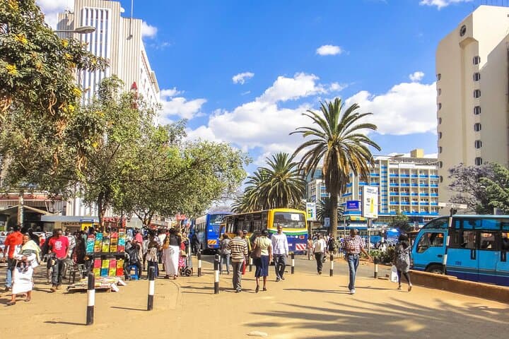 Nairobi Guided City Tour with Nairobi National Museum Entry
