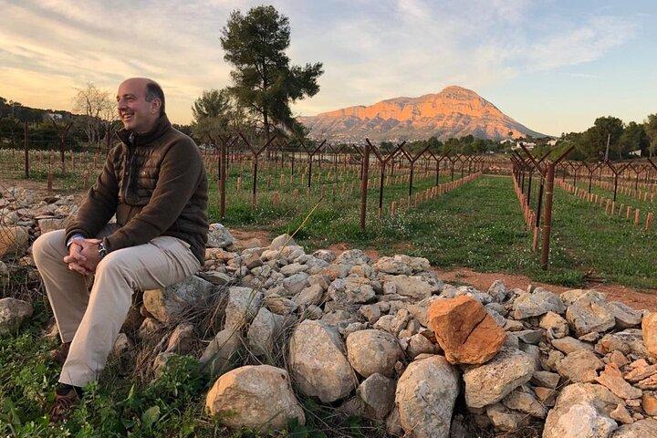 Pôr do sol entre vinhas com degustação em Alicante (min 6-12 pessoas)