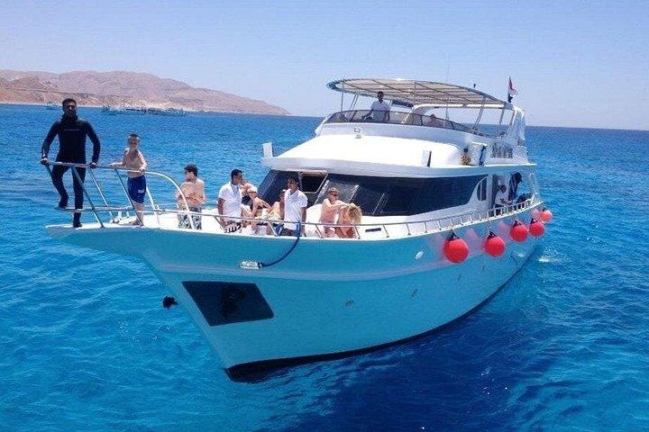 Ras Mohamed & White Island Snorkeling or Scuba Diving trip