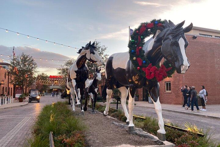 Fort Worth-hoogtepuntentour