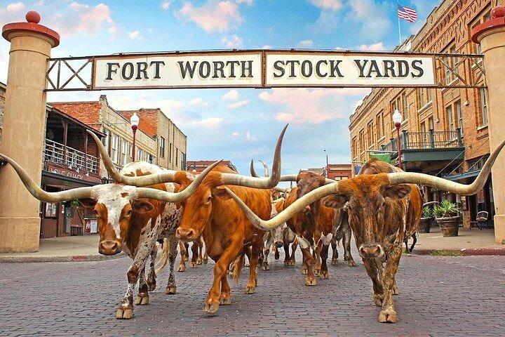 Hoogtepunten van Dallas en hoogtepunten van Fort Worth Dagtour
