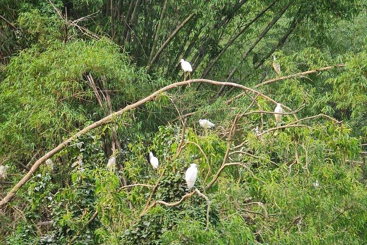 ニンビン 1 泊 2 日の豪華ツアー (8 名様分)