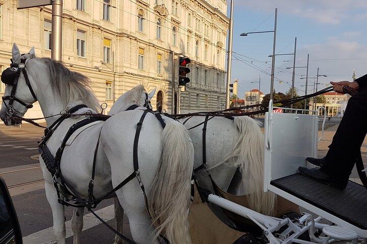 Private Vienna Sightseeing Tour matching to personal interests