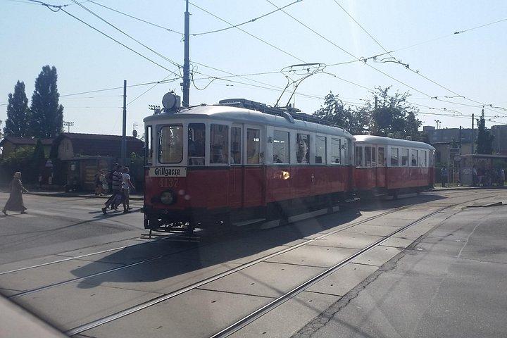 個人の興味に合わせたプライベート ウィーン観光ツアー