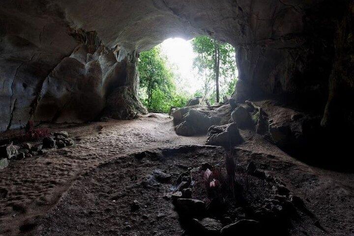 Cuc Phuong National Park Private Day Tour from Hanoi