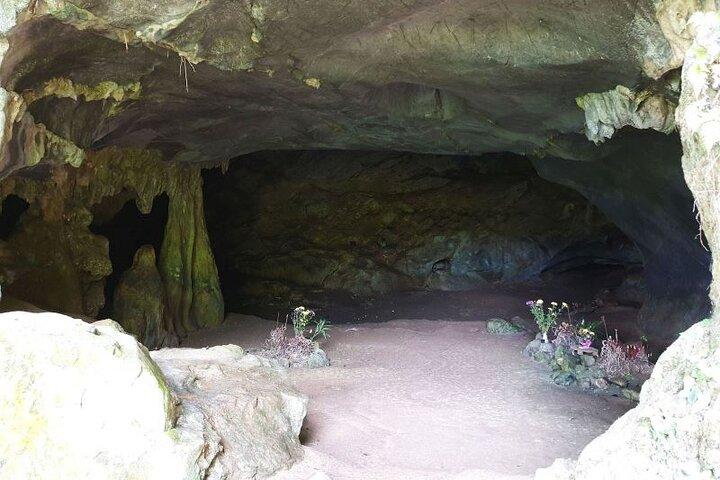Cuc Phuong National Park Private Day Tour from Hanoi