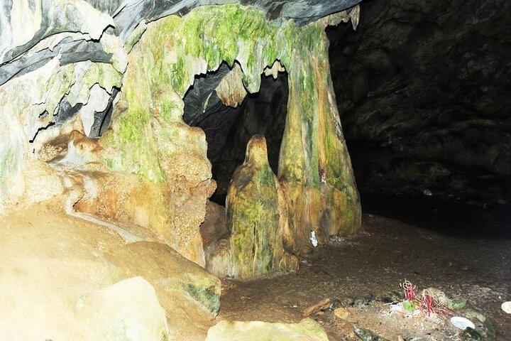 Cuc Phuong National Park Private Day Tour from Hanoi