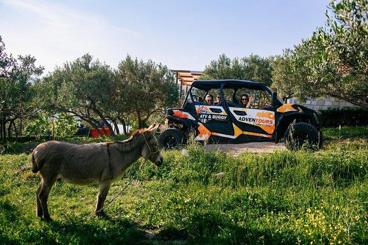 Tour safari in buggy a Dubrovnik (privato)