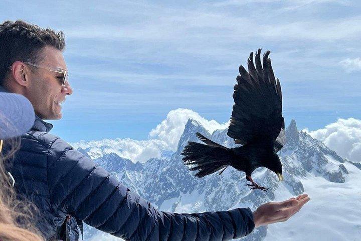 Chamonix Mont-Blanc heldags guidet tur