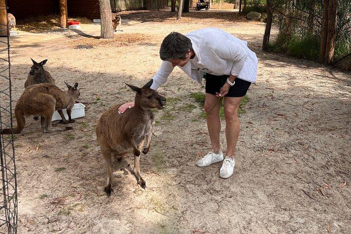 Landausflug-Healesville-Sanctuary-Private-Group- Max 7 PAX-Yarra Valley