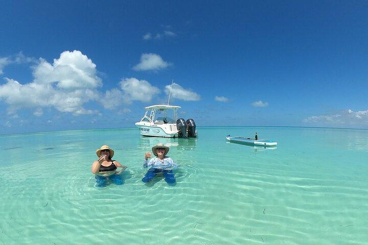 Avistamiento de delfines en Key West y snorkel