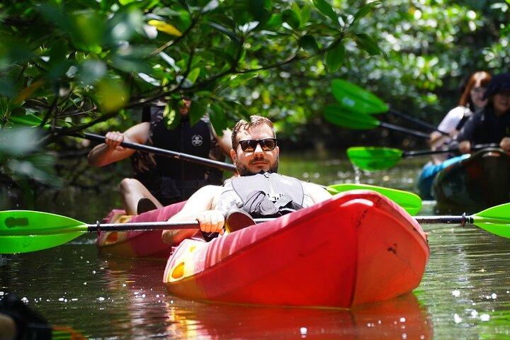 Okinawa Iriomote Island 1 dag - Vol charme van dit afgelegen eiland!Yubu Island Sightseeing & Werelderfgoed Mangrove SUP of Kano