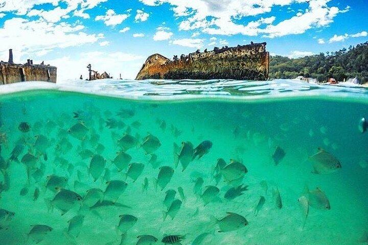 Abenteuer nach Moreton Island Tagespass Erfahrung