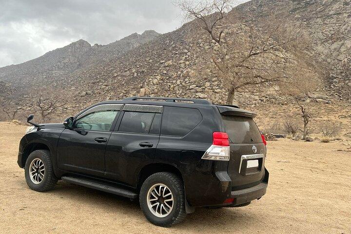 Heldags privat jeep-tur til Elsen Tasarkhai, Semi-Gobi