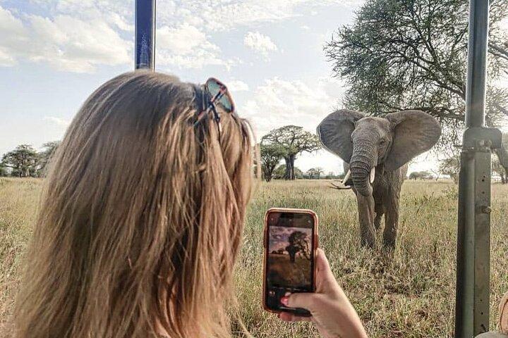 2 dagars Tarangire och Ngorongoro Gruppsafari