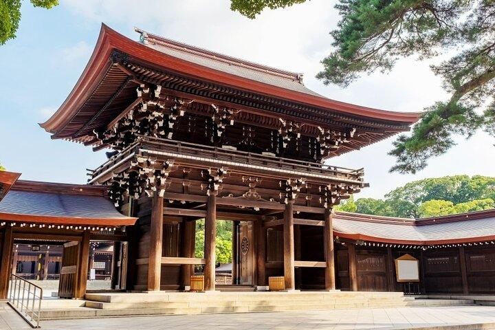 Tóquio: Private Customize Day Tour com transferência de hotel