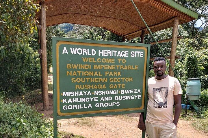 2 Tage Uganda-Gorilla-Trekking