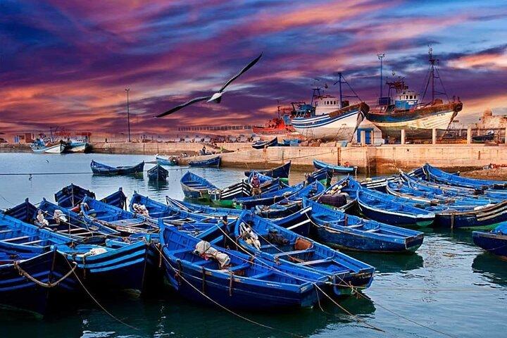 Essaouira city excursion to the Atlantic coast of Marrakech