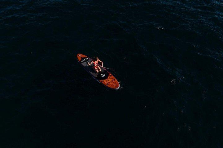 ジェットスキーサファリザダル