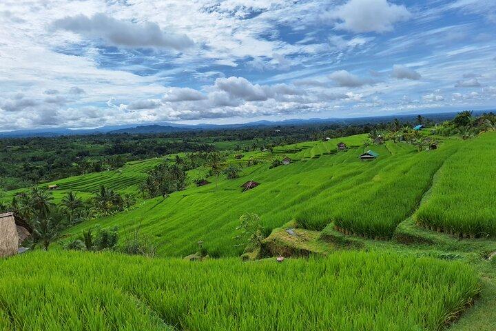 Bali Highland Day Tour