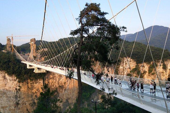 Tianmen Mountain (Glas zu Fuß Weg) + Zhangjiajie Glasbrücke Tour