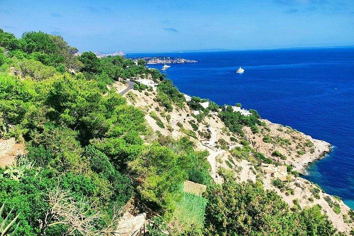 イビサESベドラの南西海岸観光日帰りツアー