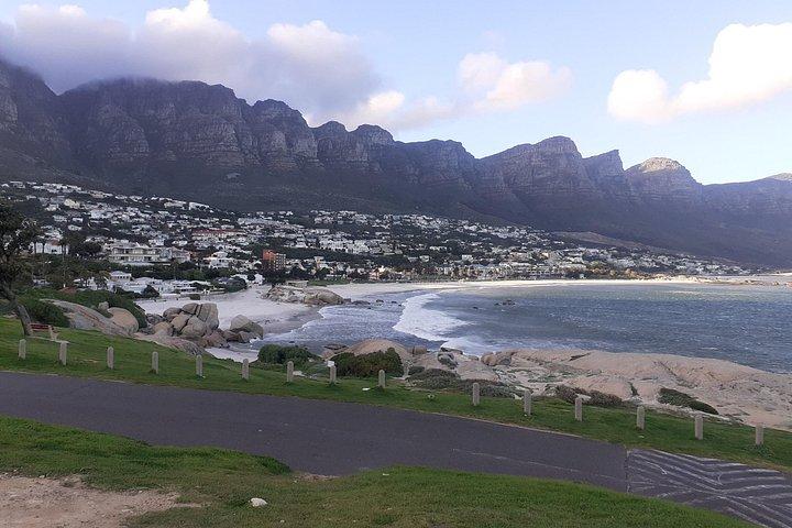 Table Mountain, Cape Point e Penguins Private, da Cidade do Cabo