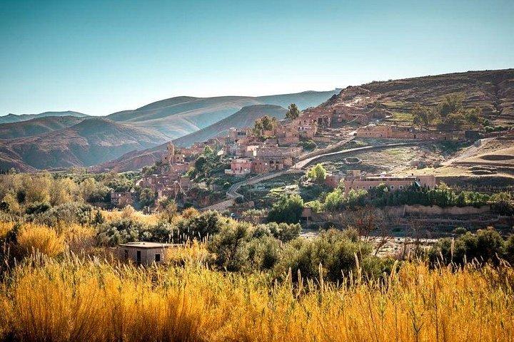 Excursion to the Ourika Valley and Berber villages