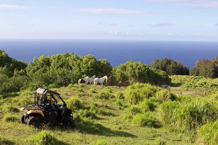Big Island ATV Ranch Ride