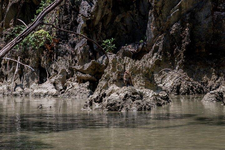 プーケットからのパンガー湾ボート ツアーの秘密 プーケット セイル ツアーズ