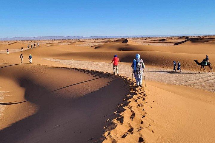 Dunes OF M'Hamid Circuit 10 dage
