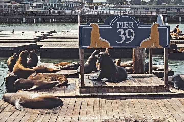 Det bästa med San Francisco: Privat halvdagsvandring