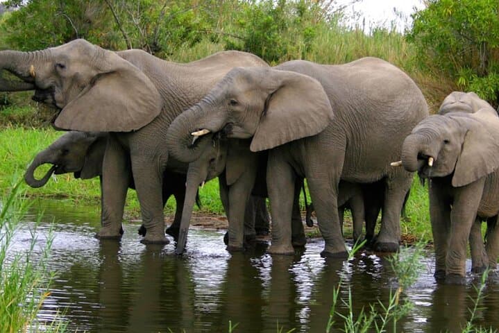 4 Day Garden Route Small Group Tour From CapeTown