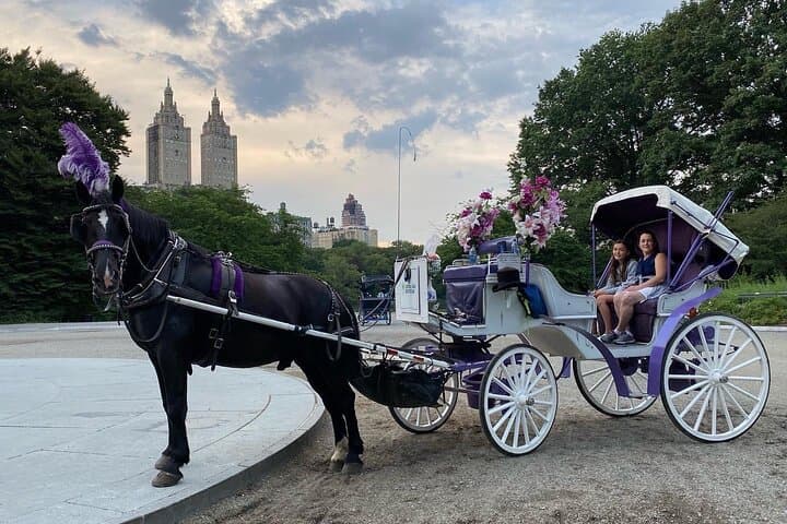 NYC Central Park Horse Carriage Rides
