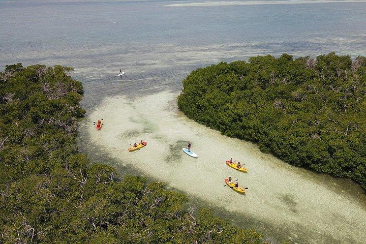 Key West Sandbar Charter med Kayak Tour: Inkluderer frokost og drikkevarer