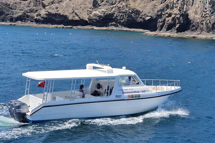 2 timmars delfinskådningskryssning i Muscat