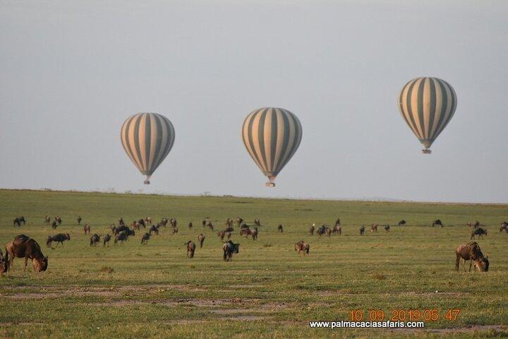 9-Days Safari Choroa Private Tour in Kenya