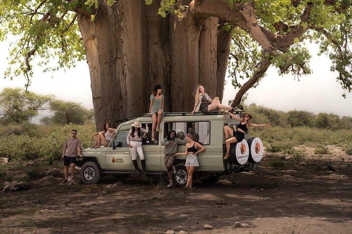 4 Days Tanzania Private Lodge Safari