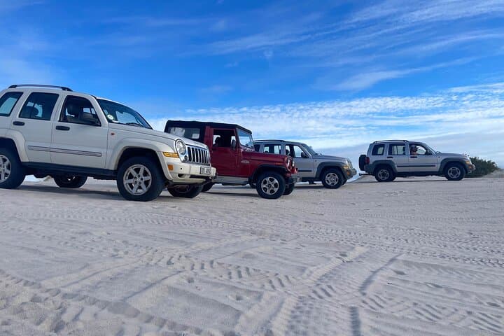 WildX Adventures Jeep 4x4 White Sand Dunes in Cape Town Atlantis