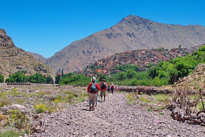 アトラス山脈への日帰り旅行 (ランチ付き)