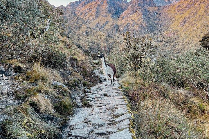 Zweitägiger kurzer Inka-Trail nach Machu Picchu