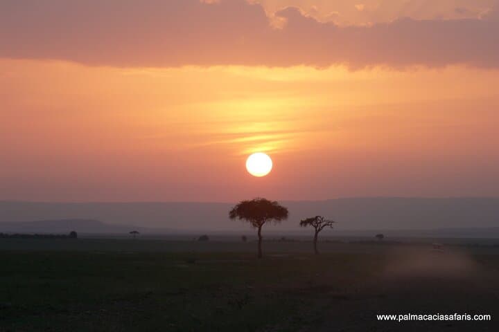 8-Day Private Safari Tour in Nairobi Kenya