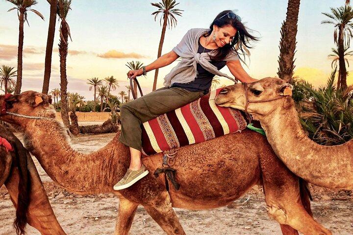 Marrakesh heldags Agafay-ørkenen, Atlasbjerget Camel Ride Tour