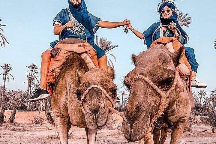 Marrakech Desert Camel Ride