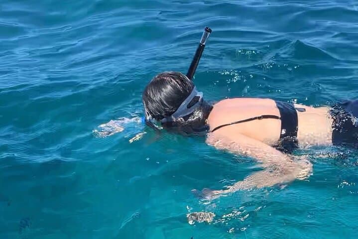 Swimming with DOLPHINS IN MNEMBA